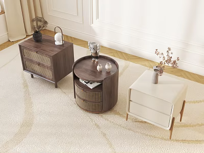 Modern Decorative Cabinets With Woven Details Drawers And Vases On Beige Carpeted Floor 3d model