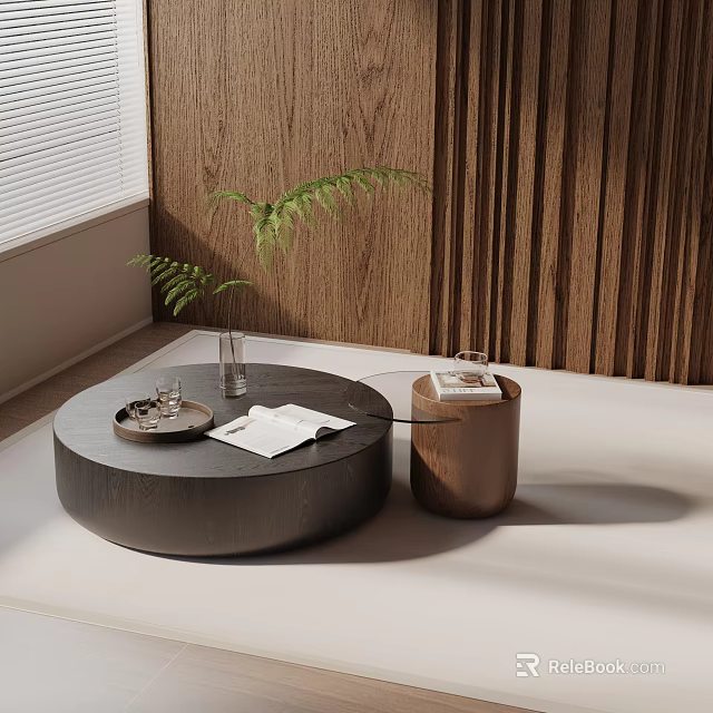 Minimalist Sofa And Round Black Coffee Table Set With Wooden Wall Fern Plant And Window Blinds 3d model 