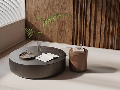 Minimalist Sofa And Round Black Coffee Table Set With Wooden Wall Fern Plant And Window Blinds 3d model