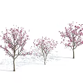Modern tree two Qiao Yulan 3d model