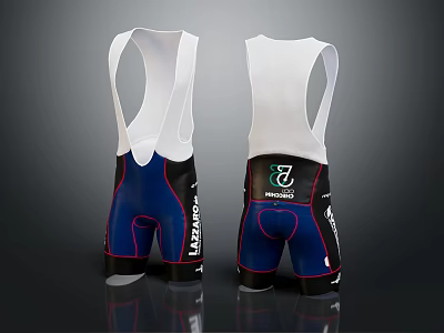 Back View Of Cycling Bib Shorts With Blue Black Design And Brand Logos 3d model