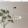 Circular Pendant Light With White Bulbs Hanging Over Green Plants On Light Wall Background