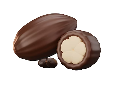 Fresh Ripe Cocoa Fruit Whole and Halved With White Seeds Inside 3d model