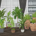 Various Indoor Potted Plants with Different Planters in Home Interior Design