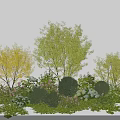 Colorful Garden Shrubs with Yellow Green Trees and Pink White Flowers