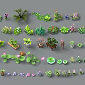 Diverse Collection of Decorative Potted Plants with Various Leaf Shapes and Flowers
