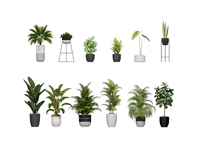 Various Green Potted Plants With Ceramic Pots And Metal Stands For Home Decor 3d model