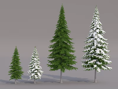 Green and Snow Covered Arbor Trees in Varied Sizes with Foliage and Branches 3d model