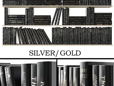 Silver Gold Decorative Books On Modern Bookshelf For Home Library Design 3d model