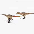Two Realistic T Rex Dinosaur Toy Models With Detailed Texture Facing Each Other 3d model