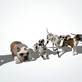 Different Dog Breeds Lined Up Standing And Lying On White Background 3d model