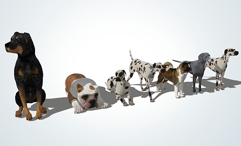 Modern Dog Pet Dog 3d model