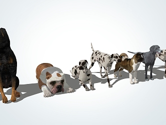 Modern Dog Pet Dog 3d model