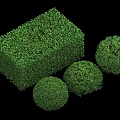 Green Well Trimmed Shrubs In Cuboid And Spherical Shapes For Landscaping Design