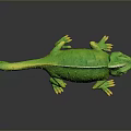 Lizard Anime Lizard Chameleon Cartoon Lizard Reptile Cold Blooded Animal Reptile Class 3d model