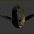 Brownish Fish With Yellow Abdomen And Scales Isolated On Dark Background