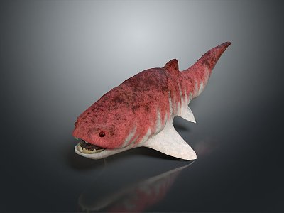 Fish Freshwater Fish Sea Fish Animal Game Animal Cartoon Animal Realistic Animal 3d model