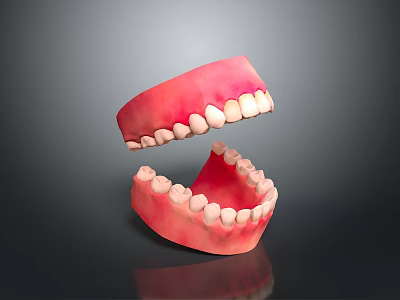 Detailed Game Movie Character Tooth Model With Pink Gums And White Teeth Design 3d model