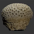 Porous Spherical Coral Structure In Beige To Brown Color For Aquatic Animal Habitat