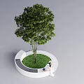 Circular Tree Pool Design With Green Tree Grass Bench And Seated Person 3d model