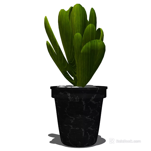 Bonsai Potted Plant With Large Green Leaves In Black Marble Textured Pot 3d model 