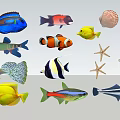 Various Colorful Aquatic Animals Including Fish Starfish And Seashells