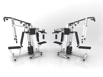 Multi Functional Fitness Training Equipment with Metal Frame and Black Seats Dual Units 3d model