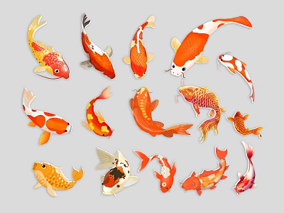 Animal Wall Decor Featuring Colorful Koi Fish Vibrant Decorative Art Pieces For Home 3d model