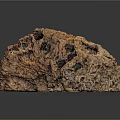 Natural Brown Rock With Rough Pitted Surface And Subtle Reflection On Dark Background 3d model