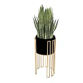 Two Bonsai Potted Sansevieria Plants In Black Pots With Gold Metal Stands