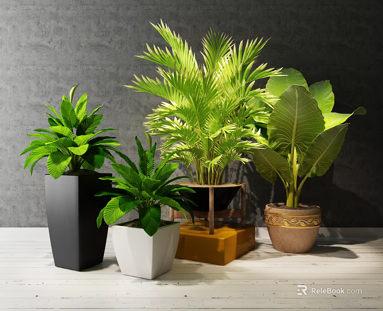 Potted Green Plants With Various Leafy Species In Decorative Planters On Tabletop 3d model 