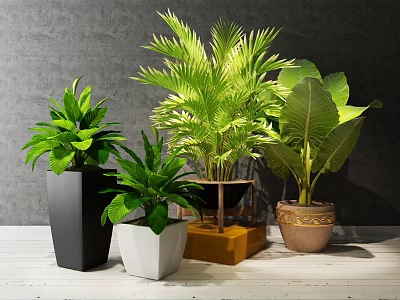 Potted Green Plants With Various Leafy Species In Decorative Planters On Tabletop 3d model