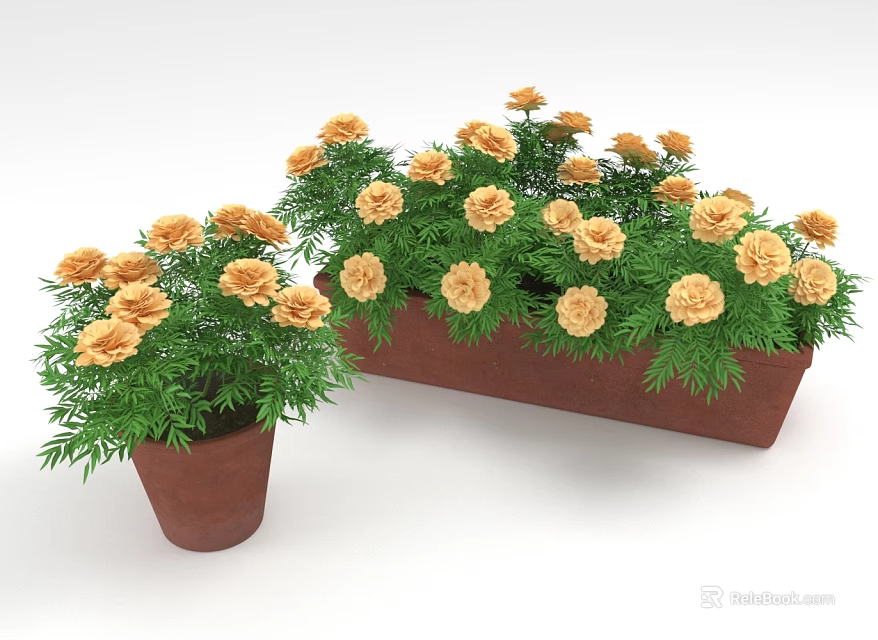 Yellow Flowers With Green Leaves In Small Pot And Rectangular Planter 3d model 
