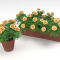 Yellow Flowers With Green Leaves In Small Pot And Rectangular Planter 3d model