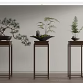 Elegant Bonsai Potted Plants Display on Wooden Stands with Pine Fern and Decorative Figurine