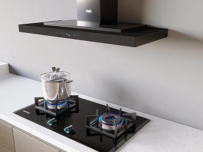Modern Kitchen Cookware with Black Range Hood Gas Stove Transparent Pot and White Countertop 3d model