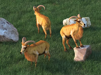Group of Three Brown Horned Reptiles Moving On Green Grass Near Stones 3d model