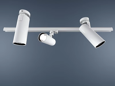 Modern Spotlights Track Lights 3d model
