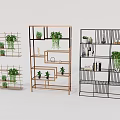Modern Stylish Garden Decor Shelves With Green Plants And Decorative Items