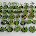 Creative Tree Planters With Assorted Designs Shapes And Lush Green Foliage 3d model