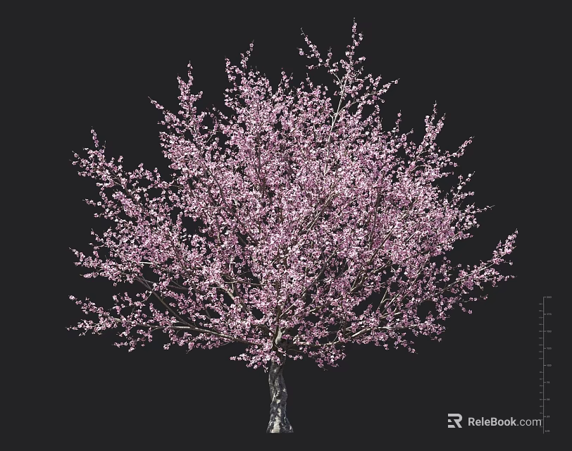 Beautiful Blooming Tree with Lush Pink Blossoms Against Black Background 3d model 