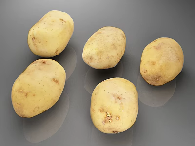 Five Fresh Yellow Potatoes With Natural Skin Texture On Gray Background 3d model