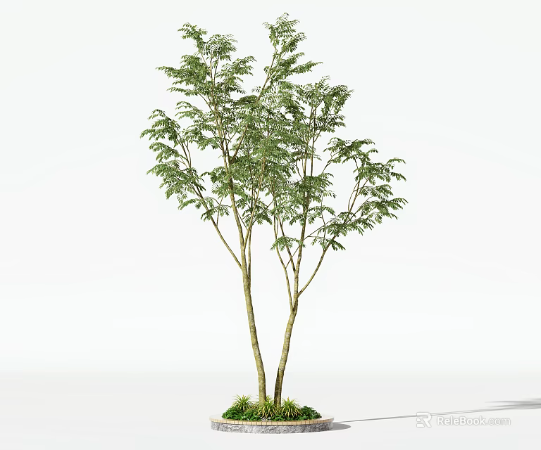 Circular Tree Planter With Twin Trunks Green Leafy Tree And Surrounding Grass 3d model 