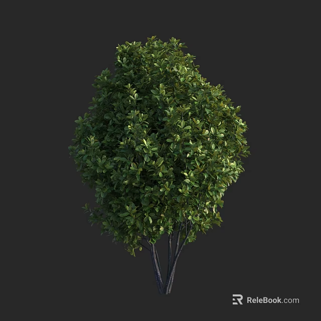 Vibrant Arbor With Lush Green Foliage And Rounded Canopy Structure 3d model