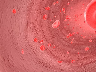 Medical Devices for Visualizing Red Blood Cells Flow in Blood Vessel Interior 3d model