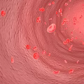 Medical Devices for Visualizing Red Blood Cells Flow in Blood Vessel Interior