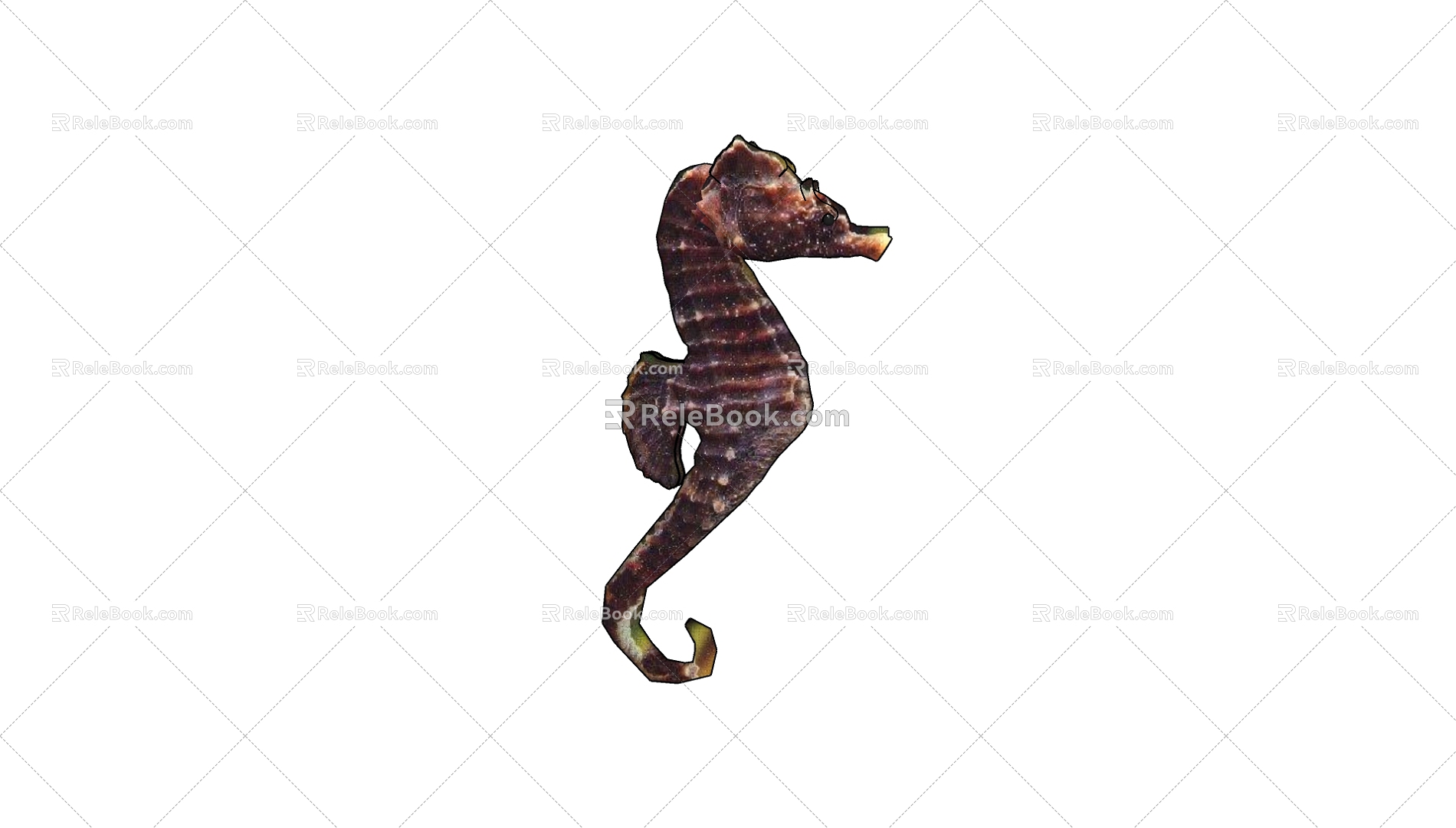 Hippocampus 3d model