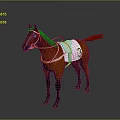 Brown Horse Standing With White Saddle Cloth Featuring Number 3 on Dark Background