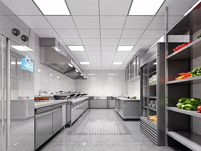 Commercial Kitchen Interior Design With Stainless Steel Worktables Cabinets Ventilation Hoods And Vegetable Racks 3d model