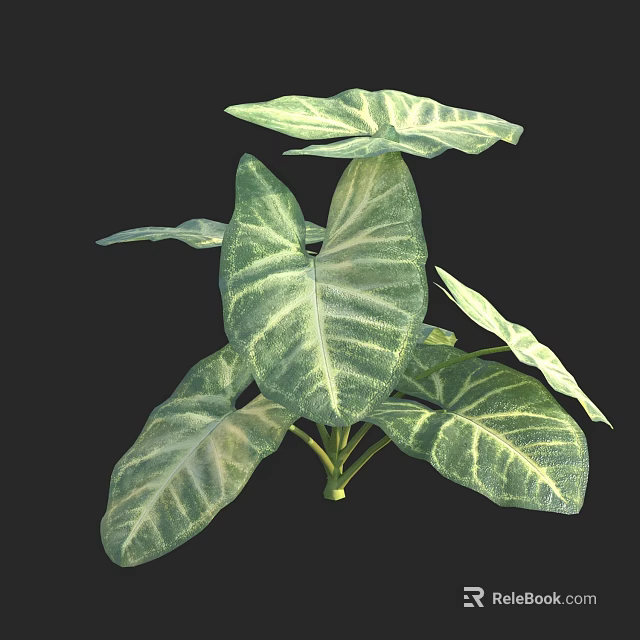 Tropical decorative houseplant with green and white striped large leaves and vibrant foliage 3d model 